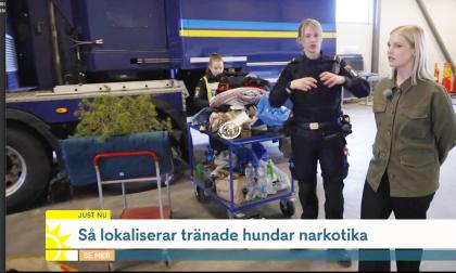 TV4:s reporter Carolin Björnerhag (längst till vänster) tillsammans med tullverkets Mimmi (inget efternamn ges) under morgonsändningen där en frakt från Åland uppmärksammades. Skärmdump från tv4.